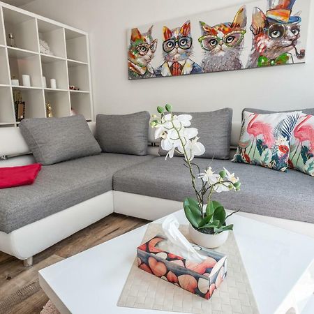 Moderne Souterrain-Wohnung อานิฟ ภายนอก รูปภาพ